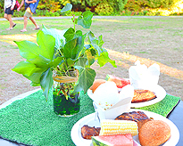 LAURELHURST SALMON BAKE 2015